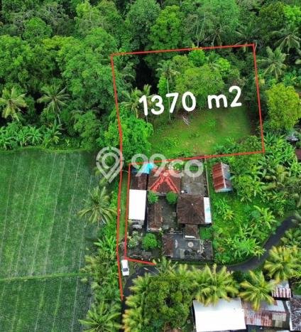 Tanah Kawasan Ubud, Luas 1370m2m², Dekat Ubud, Gianyar, Gianyar Tanah Kawasan Ubud, Luas 1370m2m², Dekat Ubud, Gianyar, Gianyar
