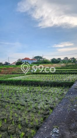 Lahan Dijual Lokasi Strategis di Badung dengan Luas 300m2 Lahan Dijual Lokasi Strategis di Badung dengan Luas 300m2