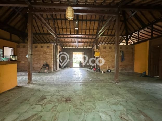 Jarang Ada! Tanah di Ubud Punya Luas 670m2 SHM Jarang Ada! Tanah di Ubud Punya Luas 670m2 SHM