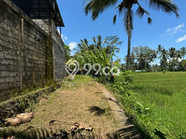 Tanah Kawasan Ubud, Luas 1370m2m², Dekat Ubud, Gianyar, Gianyar Tanah Kawasan Ubud, Luas 1370m2m², Dekat Ubud, Gianyar, Gianyar