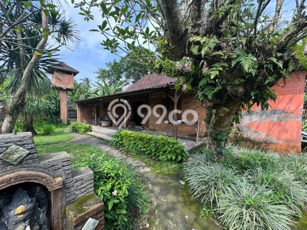 Jarang Ada! Tanah di Ubud Punya Luas 670m2 SHM Jarang Ada! Tanah di Ubud Punya Luas 670m2 SHM