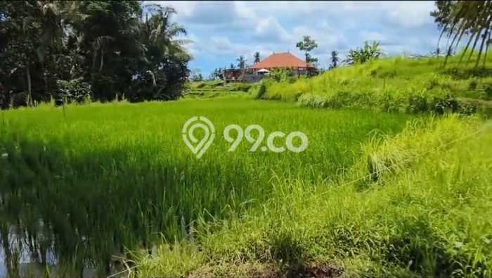 Lahan untuk Dijual Lokasi Ubud, Gianyar Luas 757m2 SHM Lahan untuk Dijual Lokasi Ubud, Gianyar Luas 757m2 SHM