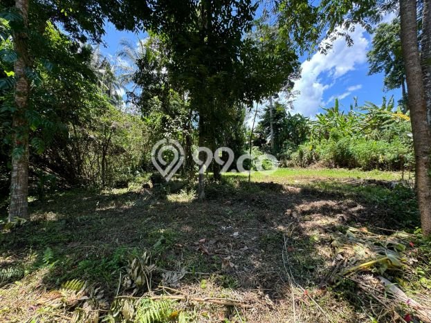 Tanah Kawasan Ubud, Luas 1370m2m², Dekat Ubud, Gianyar, Gianyar Tanah Kawasan Ubud, Luas 1370m2m², Dekat Ubud, Gianyar, Gianyar