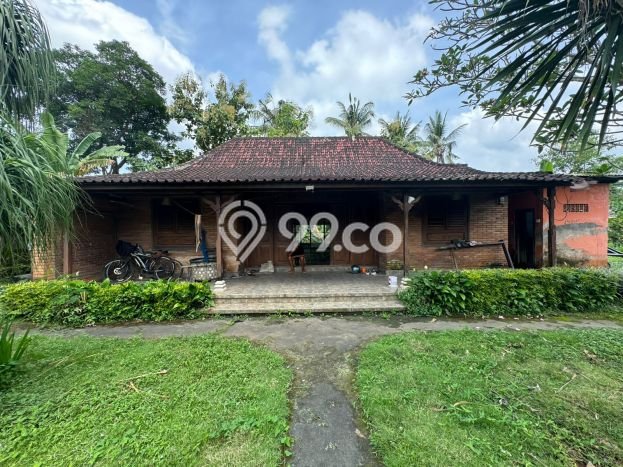 Jarang Ada! Tanah di Ubud Punya Luas 670m2 SHM Jarang Ada! Tanah di Ubud Punya Luas 670m2 SHM