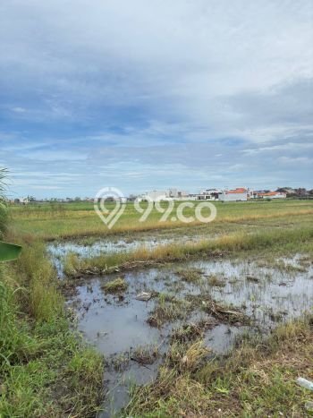 Tanah Siap Bangun Dijual di Badung Punya Luas 675m2 Tanah Siap Bangun Dijual di Badung Punya Luas 675m2