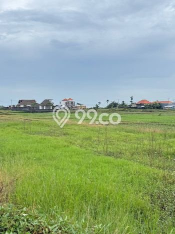 Tanah Siap Bangun Dijual di Badung Punya Luas 675m2 Tanah Siap Bangun Dijual di Badung Punya Luas 675m2