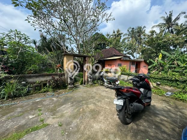 Jarang Ada! Tanah di Ubud Punya Luas 670m2 SHM Jarang Ada! Tanah di Ubud Punya Luas 670m2 SHM