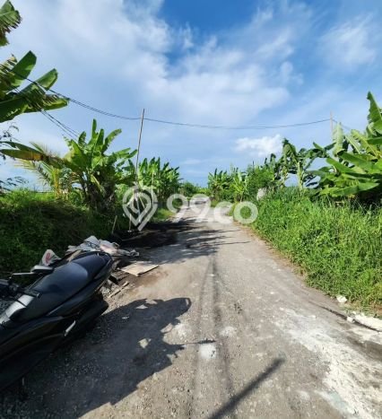 Lahan Dijual Lokasi Strategis di Badung dengan Luas 300m2 Lahan Dijual Lokasi Strategis di Badung dengan Luas 300m2