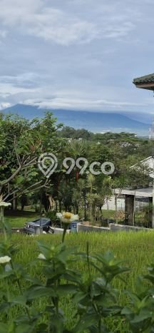 Tanah Kavling Dijual di Sentul City, Bogor dengan Luas Tanah 404m2 Tanah Kavling Dijual di Sentul City, Bogor dengan Luas Tanah 404m2