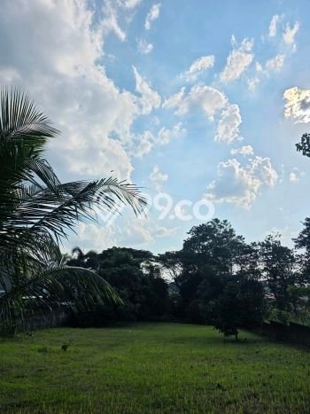 Dijual Tanah Lokasi Sentul City, Bogor Seluas 1093m2 Dijual Tanah Lokasi Sentul City, Bogor Seluas 1093m2