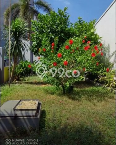 Rumah Elit Modern Siap Huni di Jelambar Jakarta Barat Rumah Elit Modern Siap Huni di Jelambar Jakarta Barat