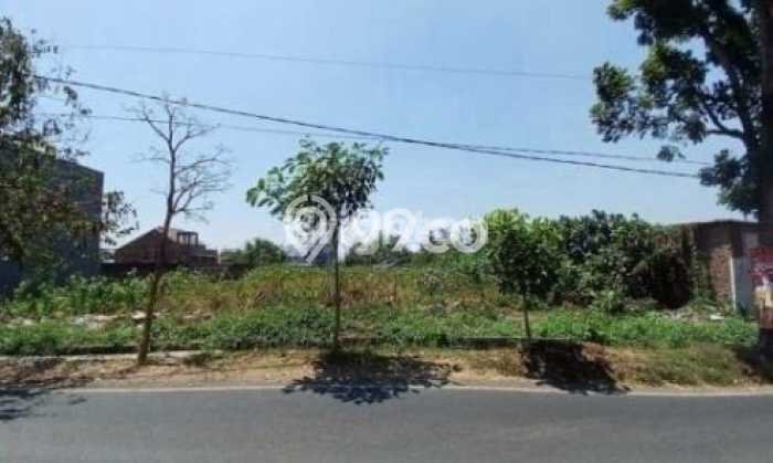 Untuk Disewa Tanah di Malang, Luas 5000m2 Area Berkembang Untuk Disewa Tanah di Malang, Luas 5000m2 Area Berkembang