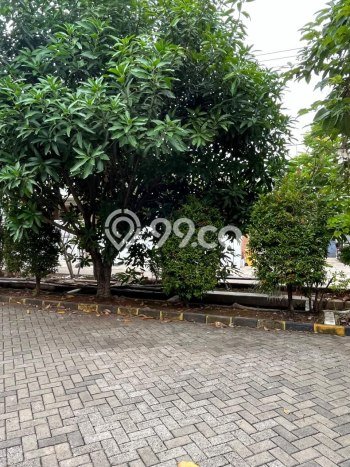 Rumah Luas Asri 4 KT Siap Huni di Sukmajaya Depok Rumah Luas Asri 4 KT Siap Huni di Sukmajaya Depok