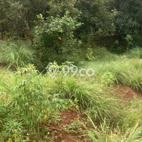 Lahan untuk Dijual Lokasi Banyumanik, Semarang Luas 786m2 - Lahan untuk Dijual Lokasi Banyumanik, Semarang Luas 786m2 -