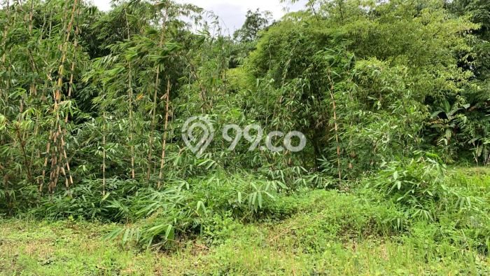Lahan untuk Dijual di Bawen Semarang Luas 30000m2 Lahan untuk Dijual di Bawen Semarang Luas 30000m2