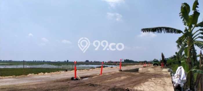 PRIME LOCATION! Tanah Kawasan Sayung, Luas 50000m2m², Cocok untuk Investasi PRIME LOCATION! Tanah Kawasan Sayung, Luas 50000m2m², Cocok untuk Investasi