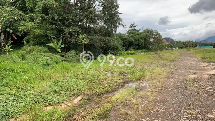 Lahan untuk Dijual di Bawen Semarang Luas 30000m2 Lahan untuk Dijual di Bawen Semarang Luas 30000m2