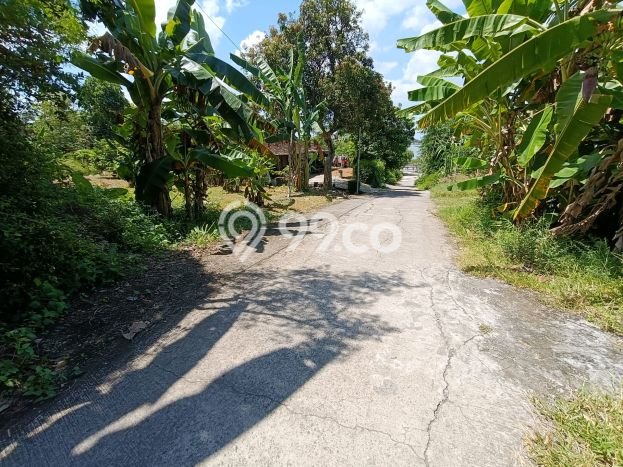 Tanah Kavling di Sambi Dijual dengan Luas 1050m2 Tanah Kavling di Sambi Dijual dengan Luas 1050m2