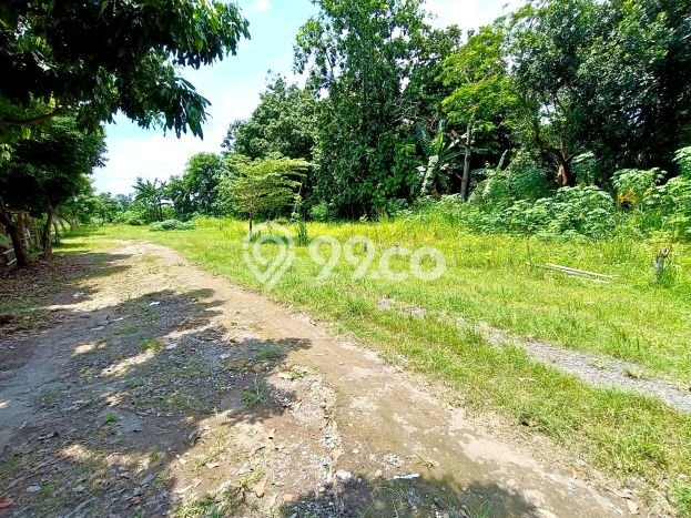 Kavling Tanah Dijual di Colomadu, Solo, Luas 2020m2 Area Strategis Kavling Tanah Dijual di Colomadu, Solo, Luas 2020m2 Area Strategis
