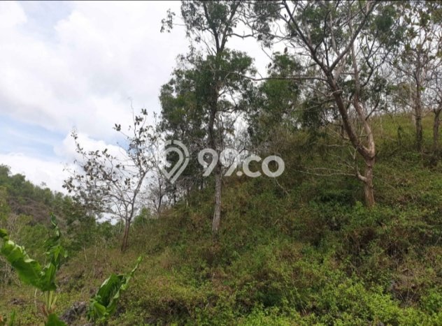 Lahan Kosong Dijual di Wonogiri dengan Area 19000m2 Lahan Kosong Dijual di Wonogiri dengan Area 19000m2