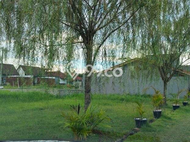 Lahan Dijual Lokasi Ubud, Gianyar dengan Luas Tanah 568m2 dan Status SHM Lahan Dijual Lokasi Ubud, Gianyar dengan Luas Tanah 568m2 dan Status SHM
