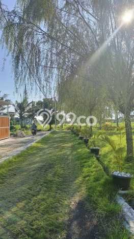 Lahan Dijual Lokasi Ubud, Gianyar dengan Luas Tanah 568m2 dan Status SHM Lahan Dijual Lokasi Ubud, Gianyar dengan Luas Tanah 568m2 dan Status SHM