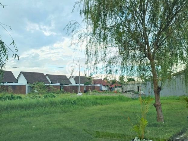 Lahan Dijual Lokasi Ubud, Gianyar dengan Luas Tanah 568m2 dan Status SHM Lahan Dijual Lokasi Ubud, Gianyar dengan Luas Tanah 568m2 dan Status SHM