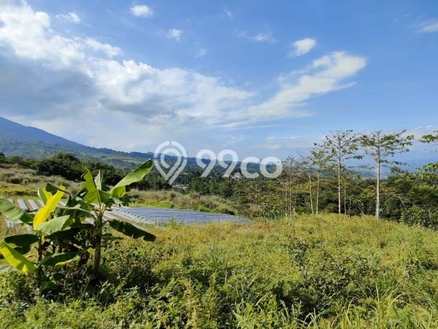 Tanah Potensial Kawasan Cicurug, Luas 71000m2m², Pinggir Jalan Tanah Potensial Kawasan Cicurug, Luas 71000m2m², Pinggir Jalan