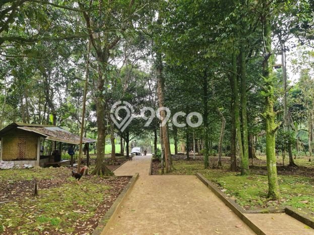 Tanah Potensial Kawasan Cicurug, Luas 71000m2m², Pinggir Jalan Tanah Potensial Kawasan Cicurug, Luas 71000m2m², Pinggir Jalan