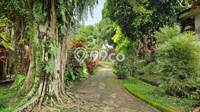 Dijual Tanah 10000m2 di Gadog, Bogor Dijual Tanah 10000m2 di Gadog, Bogor
