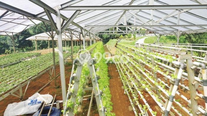 Vila Kawasan Megamendung, Luas 65000m2m², Lokasi Premium Vila Kawasan Megamendung, Luas 65000m2m², Lokasi Premium