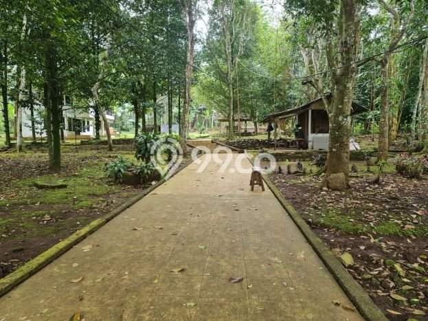 Tanah Potensial Kawasan Cicurug, Luas 71000m2m², Pinggir Jalan Tanah Potensial Kawasan Cicurug, Luas 71000m2m², Pinggir Jalan