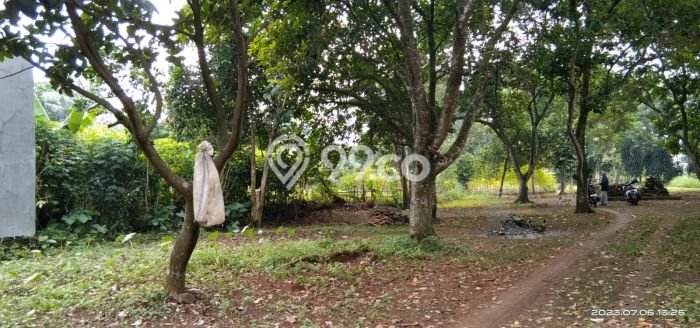 Jual Tanah Area Premium Kawasan Pamulang, Luas 8000m2m², Ideal untuk Investasi Jual Tanah Area Premium Kawasan Pamulang, Luas 8000m2m², Ideal untuk Investasi