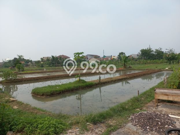 AREA PROSPEKTIF! Tanah di , Luas 70000m2m², Dekat Transportasi AREA PROSPEKTIF! Tanah di , Luas 70000m2m², Dekat Transportasi