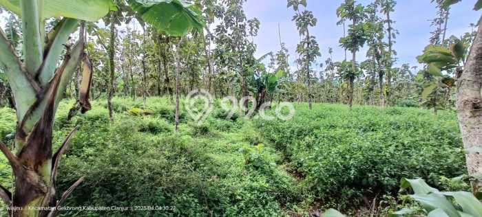 Tanah Area Potensial di Cianjur, Luas 36090m², Lingkungan Asri, Dekat Cianjur, Cianjur, Cianjur Tanah Area Potensial di Cianjur, Luas 36090m², Lingkungan Asri, Dekat Cianjur, Cianjur, Cianjur