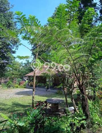 Kavling Tanah Dijual di Pakem Sleman Spesifikasi 5974m2 Kavling Tanah Dijual di Pakem Sleman Spesifikasi 5974m2