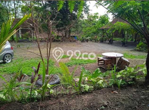 Kavling Tanah Dijual di Pakem Sleman Spesifikasi 5974m2 Kavling Tanah Dijual di Pakem Sleman Spesifikasi 5974m2