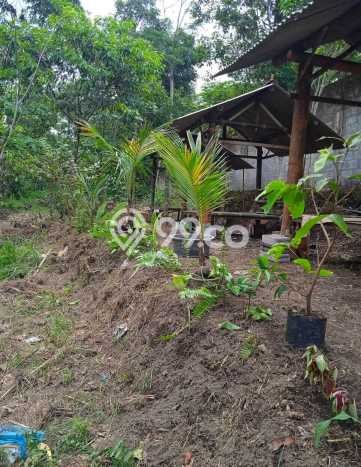 Kavling Tanah Dijual di Pakem Sleman Spesifikasi 5974m2 Kavling Tanah Dijual di Pakem Sleman Spesifikasi 5974m2