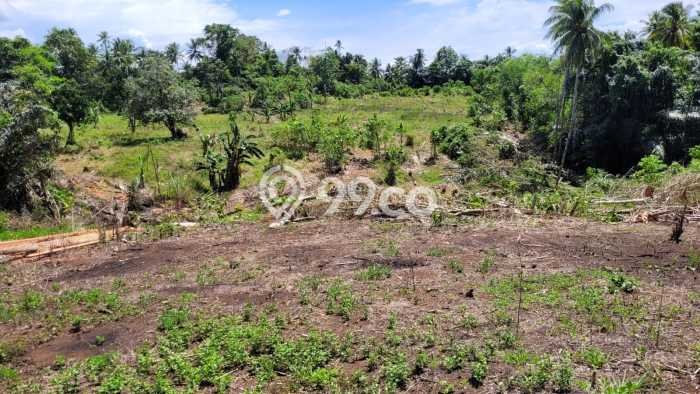 Tanah Kavling di Bunaken Dijual dengan Luas 46000m2 Tanah Kavling di Bunaken Dijual dengan Luas 46000m2