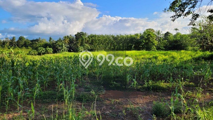 Tanah Kavling di Bunaken Dijual dengan Luas 46000m2 Tanah Kavling di Bunaken Dijual dengan Luas 46000m2