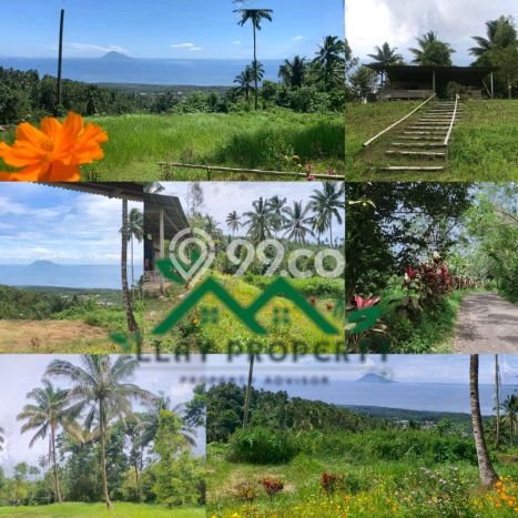 Tanah Dijual Lokasi Pineleng Minahasa SHM Tanah Dijual Lokasi Pineleng Minahasa SHM