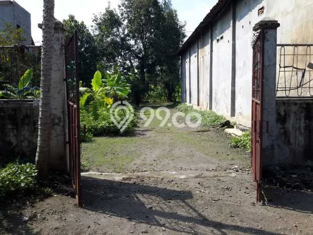 Tanah Kavling untuk Dijual di Magersari Mojokerto 3150m2 Tanah Kavling untuk Dijual di Magersari Mojokerto 3150m2