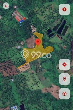 Tanah untuk Dijual Lokasi Talawaan, Minahasa Utara Luas 15500m2 SHM Tanah untuk Dijual Lokasi Talawaan, Minahasa Utara Luas 15500m2 SHM