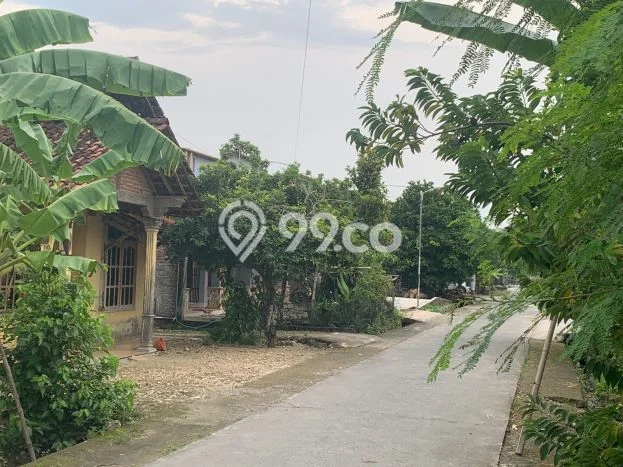LOKASI STRATEGIS! Tanah Kawasan Tambakromo, Luas 1560m2m², Kawasan Berkembang, Cocok untuk Investasi LOKASI STRATEGIS! Tanah Kawasan Tambakromo, Luas 1560m2m², Kawasan Berkembang, Cocok untuk Investasi