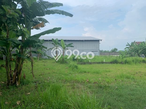 KAWASAN BISNIS! Komersial di Tambakromo, Luas 1909m2m², Area Strategis KAWASAN BISNIS! Komersial di Tambakromo, Luas 1909m2m², Area Strategis