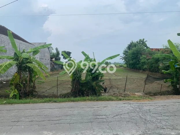 LOKASI STRATEGIS! Tanah Kawasan Tambakromo, Luas 1560m2m², Kawasan Berkembang, Cocok untuk Investasi LOKASI STRATEGIS! Tanah Kawasan Tambakromo, Luas 1560m2m², Kawasan Berkembang, Cocok untuk Investasi