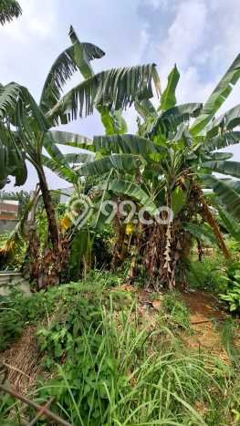 Dijual Tanah di Cipondoh Tangerang Luas 500m2 PPJB Dijual Tanah di Cipondoh Tangerang Luas 500m2 PPJB