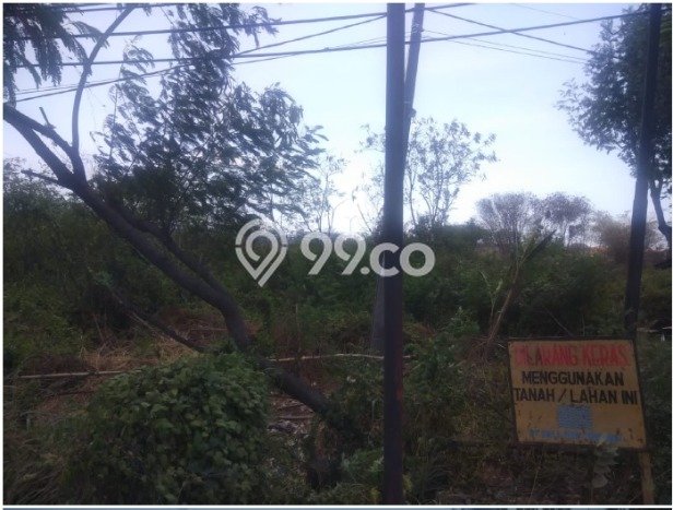 Tanah Komersial Dijual di Pangenan Cirebon 17880m2 Tanah Komersial Dijual di Pangenan Cirebon 17880m2