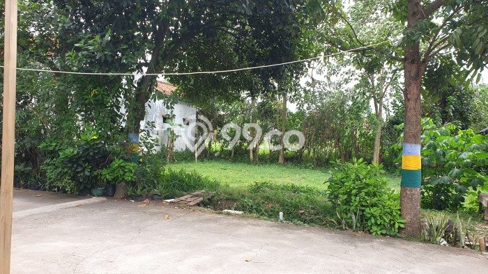 Tanah untuk Dijual Lokasi Jatinangor, Sumedang Luas 200m2 SHM Tanah untuk Dijual Lokasi Jatinangor, Sumedang Luas 200m2 SHM