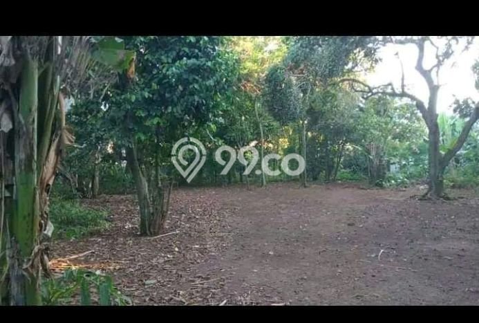 Tanah Strategis Dijual di Jagakarsa Jakarta Selatan 600m2 Tanah Strategis Dijual di Jagakarsa Jakarta Selatan 600m2